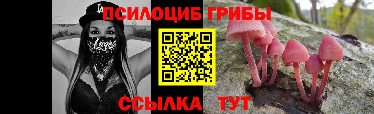 Галлюциногенные грибы Psilocybine cubensis  хочу   Нерюнгри  Галлюциногенные грибы MAGIC MUSHROOMS  Вход с VPN 